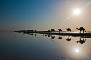 Djibouti - natuur