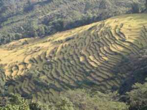 Kanchenjunga - natuur