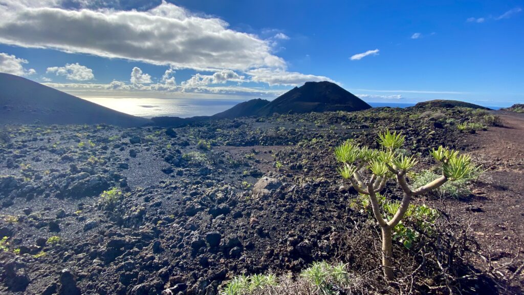 La Palma - lava